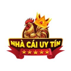 Nhà Cái Uy  Tín