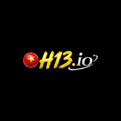 h13io