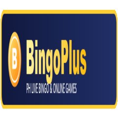 bingoplusfit