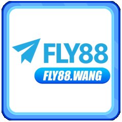 fly88wang