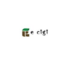 E cigi bolt