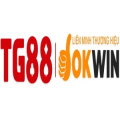 tg88agency