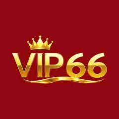 vip66t1com