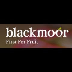 blackmoorco1
