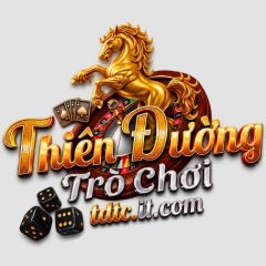 tdtcitcom