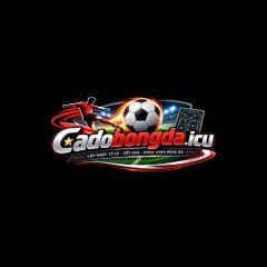 Thống kê cá độ bóng đá