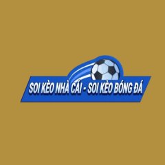 ltdbongdaonline