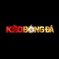 tylekeobongdamy