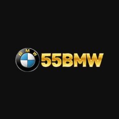 55bmwphfit