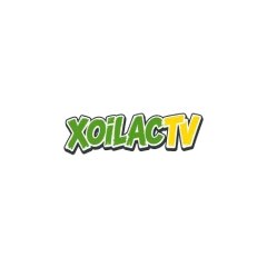 xoilactvapktop1