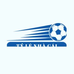 tylenhacaiwebsite