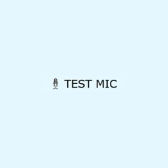 TEST MIC